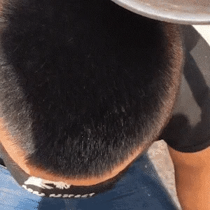 Encabezado